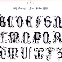 Typography - Alphabet - Ornate, Italian 10th Century  (27)